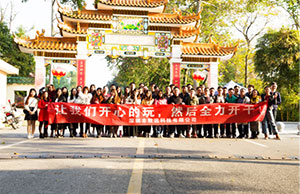 2017ƼһҹŽӻ֮