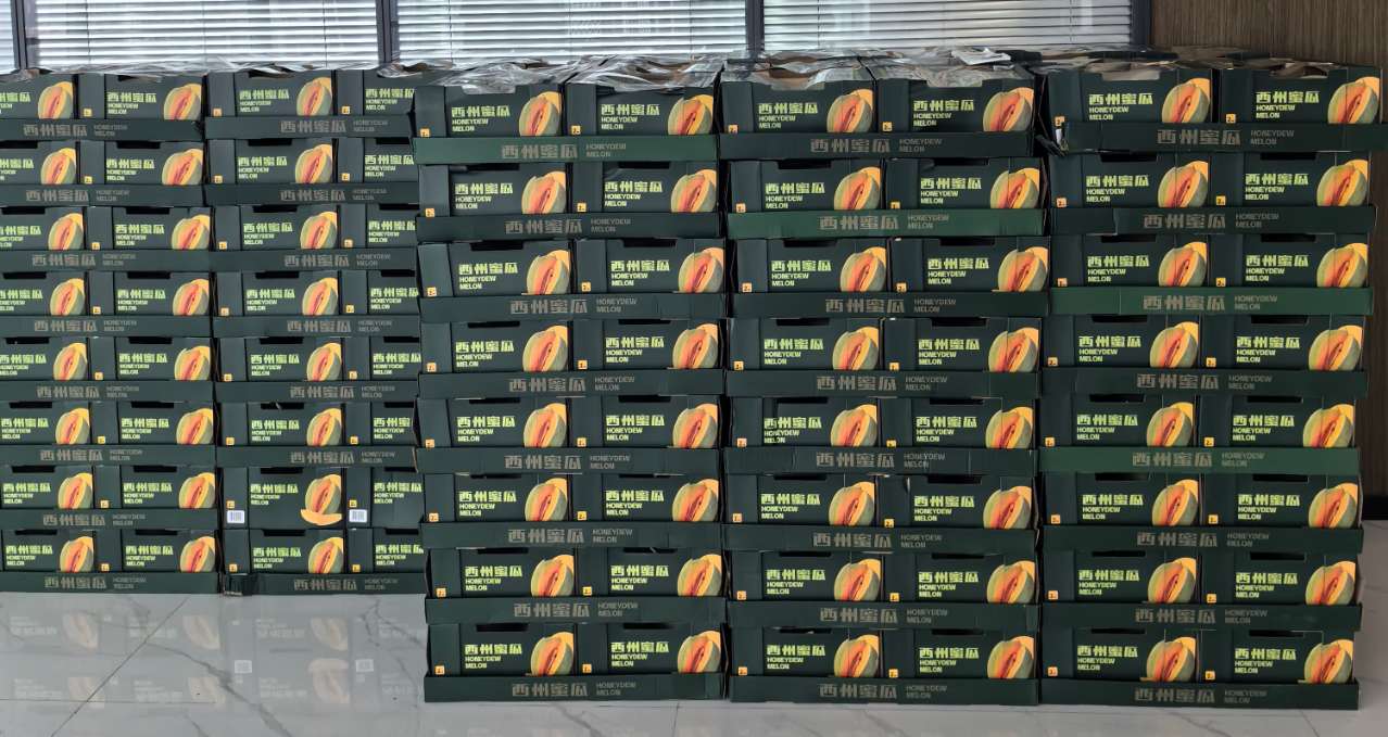 尊龙体育(中国区)官方网站